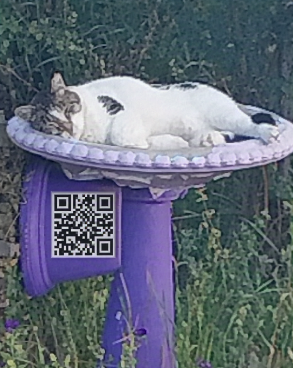 A QR on a garden mailbox — a whole street can find your cause.